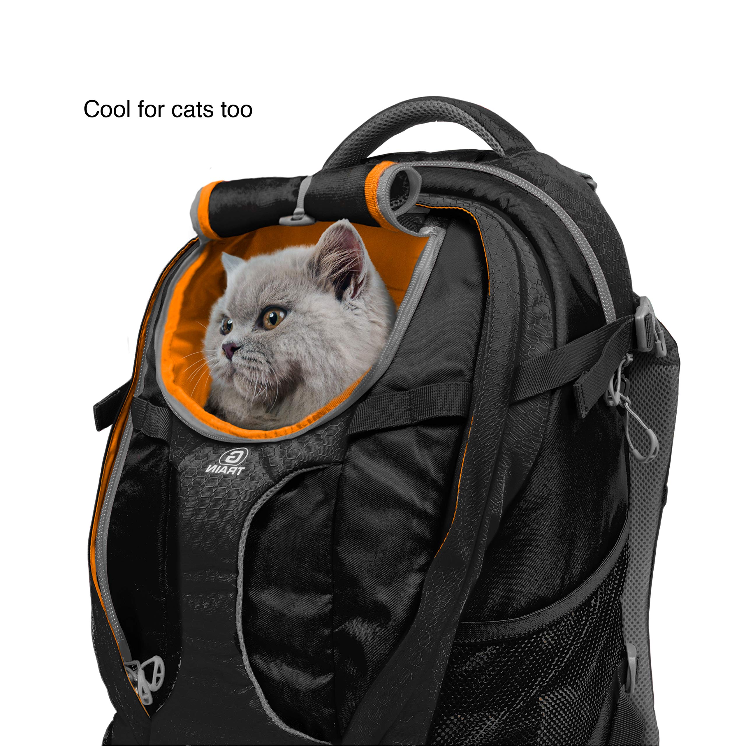 Kurgo G-Train porta-bidones de agua, mantener al perro hidratado en ruta.