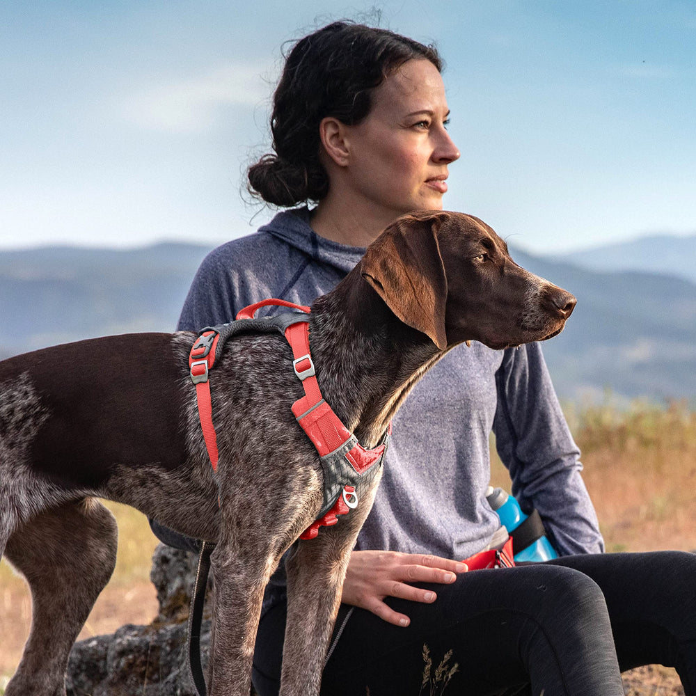 Kurgo Journey Air Harness con anclajes delantero y trasero para mayor versatilidad.