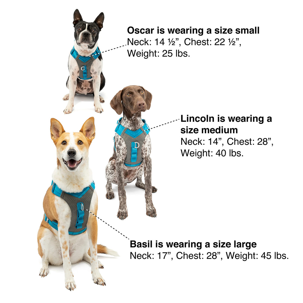 Kurgo Journey Air Harness ligero de 8 onzas para libertad de movimiento.