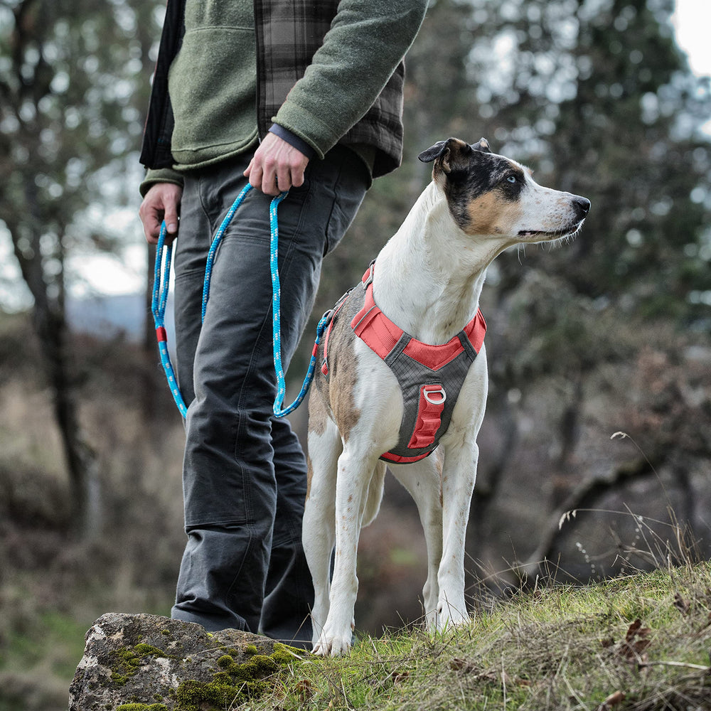 Kurgo Journey Air Harness con tela ripstop resistente para aventuras al aire libre.