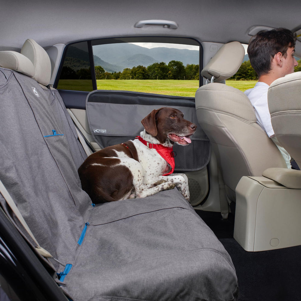 Ajuste universal de Kurgo Rover, compatible con la mayoría de coches.
