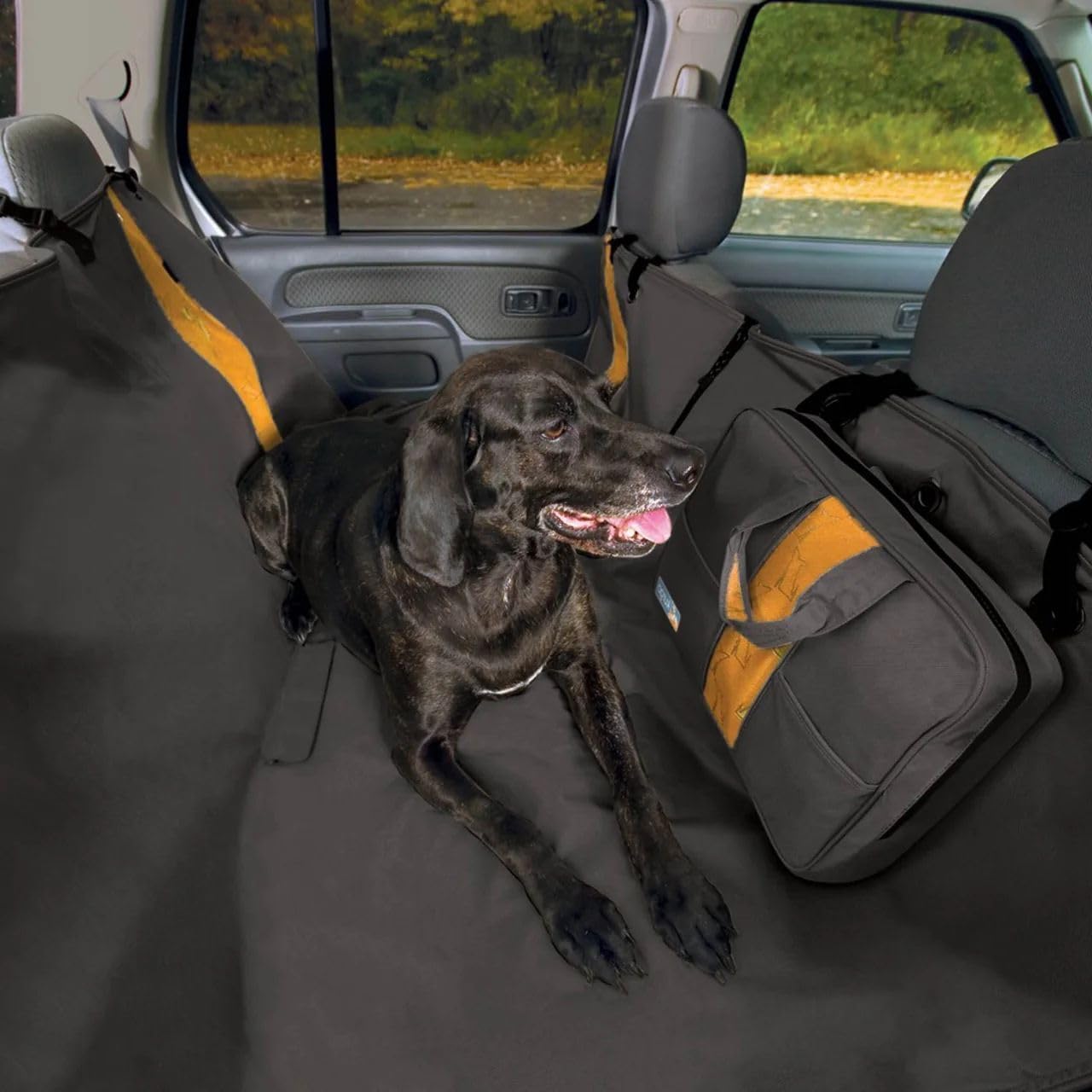 Kurgo Wander bolsillo utilitario para llevar correa, juguetes y agua.