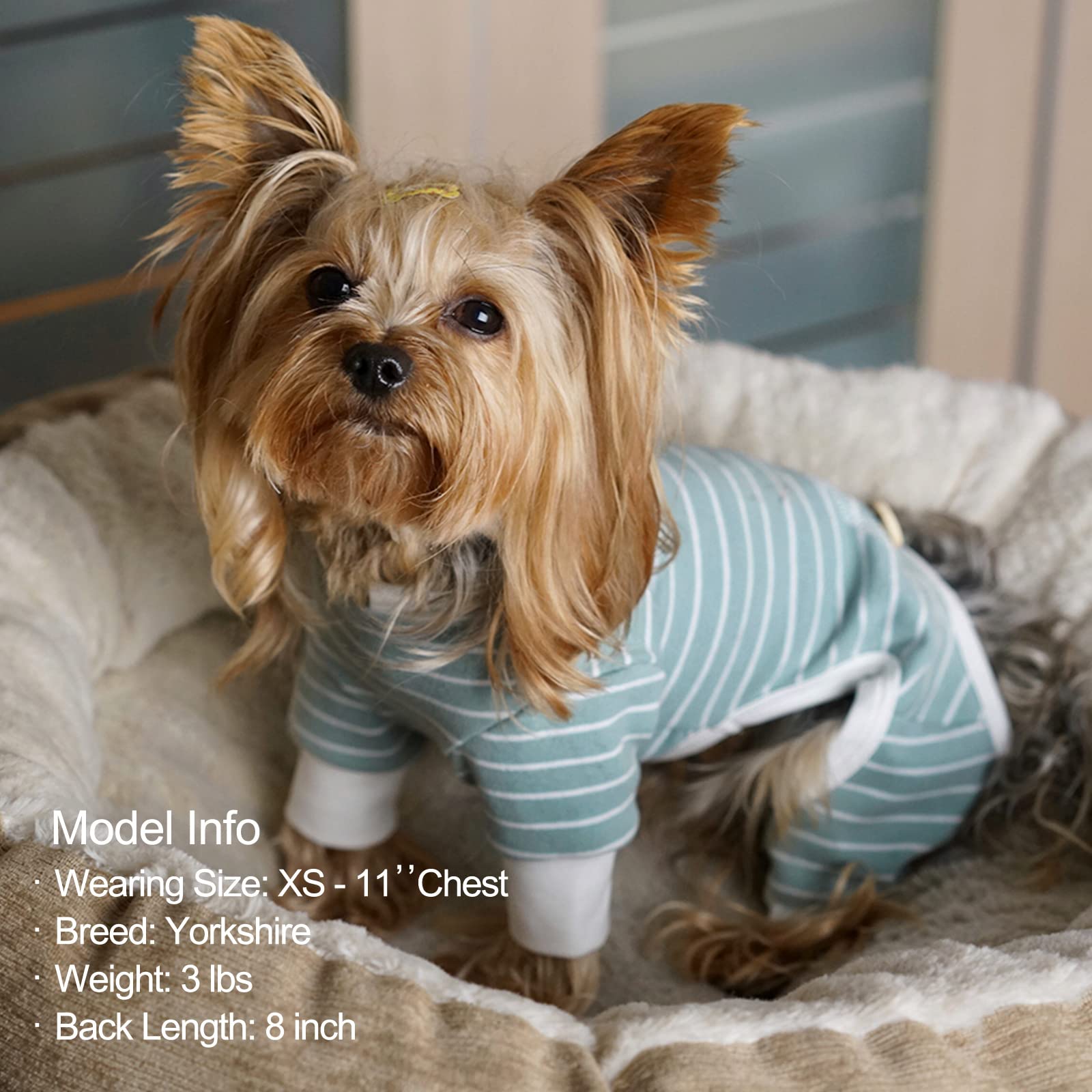 Tamaño M KYEESE para razas pequeñas como schnauzer y shih tzu verde-rayas