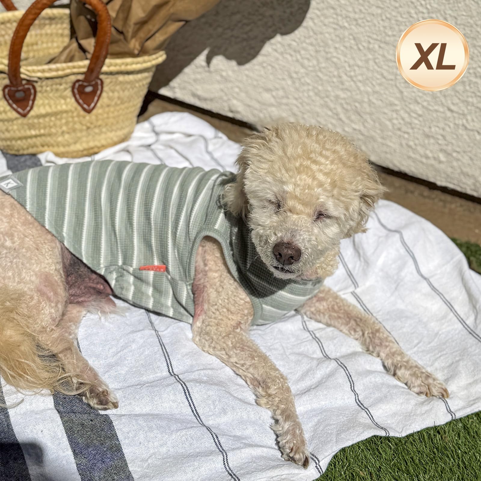 KYEESE camiseta perro textura waffle verde: tela acogedora que cuida la piel sensible.