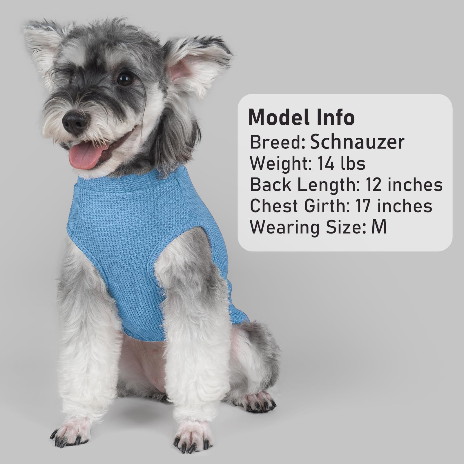 KYEESE camiseta perruna azul con rayas, uso interior o exterior cómodo.