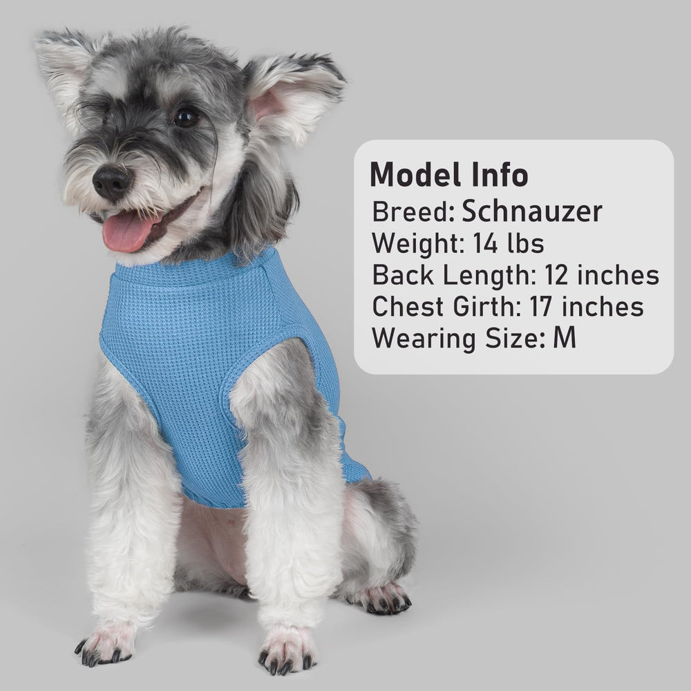 KYEESE camiseta perruna azul con rayas, uso interior o exterior cómodo.
