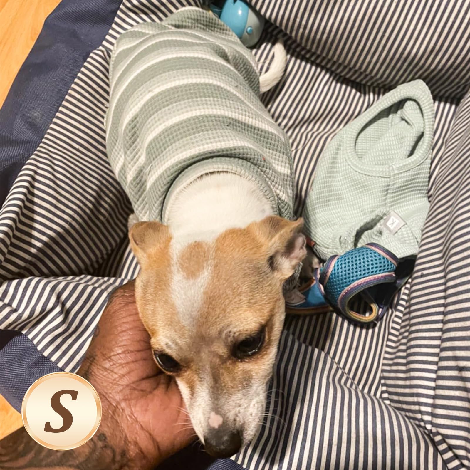 kyeeese camiseta para perro waffle sin mangas para exteriores.