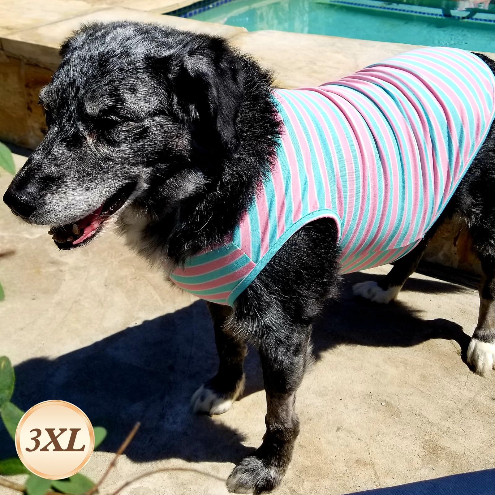 Camisetas sin mangas KYEESE para perro, ajuste elástico y cómodo.