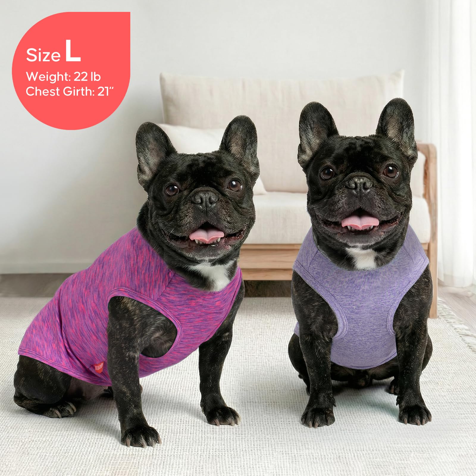 Conjunto KYEESE 2 piezas para perro, fácil de rotar entre usos.