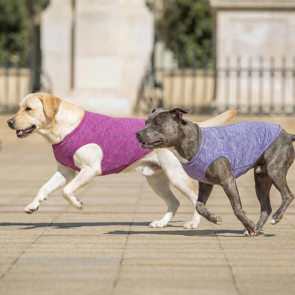Camiseta KYEESE talla XXXL, ideal para Doberman y Golden Retriever.