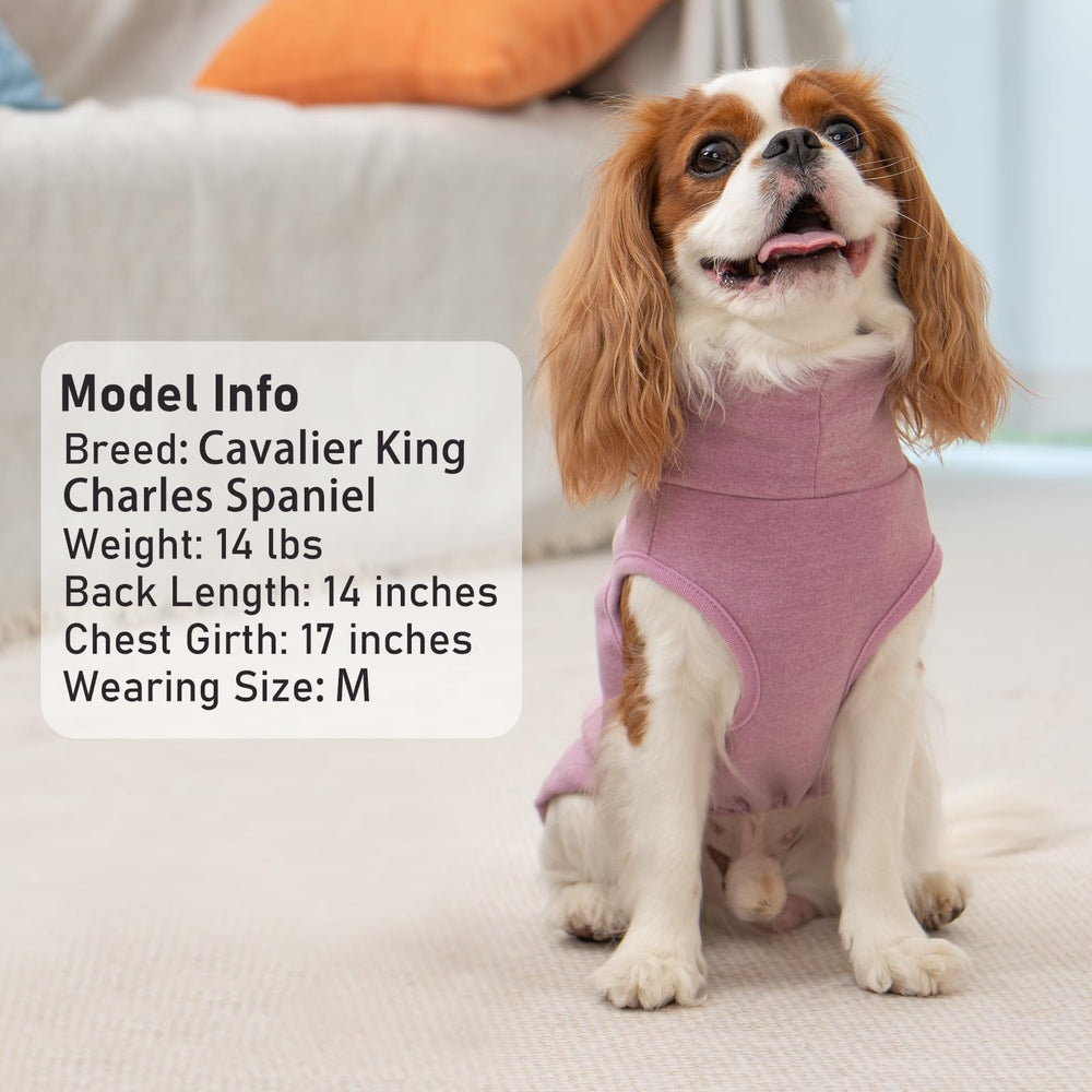 KYEESE dos piezas para perro, diseño liso y rayas.