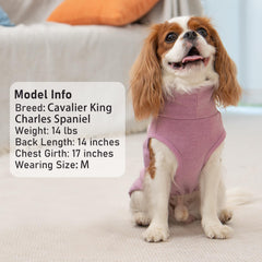 KYEESE dos piezas para perro, diseño liso y rayas.