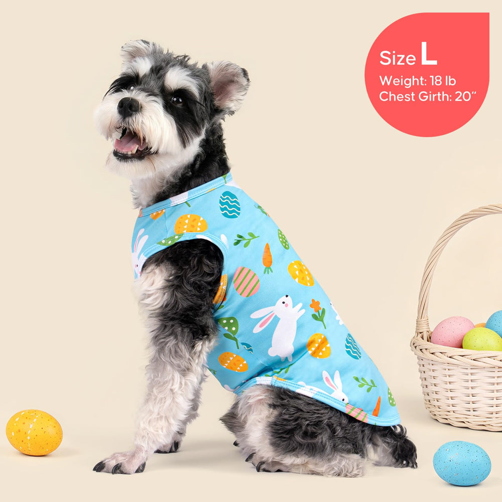KYEESE guía de talla M para perros pequeños.