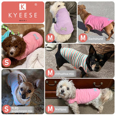 KYEESE camiseta para perros con etiqueta reflectante para mejor visibilidad