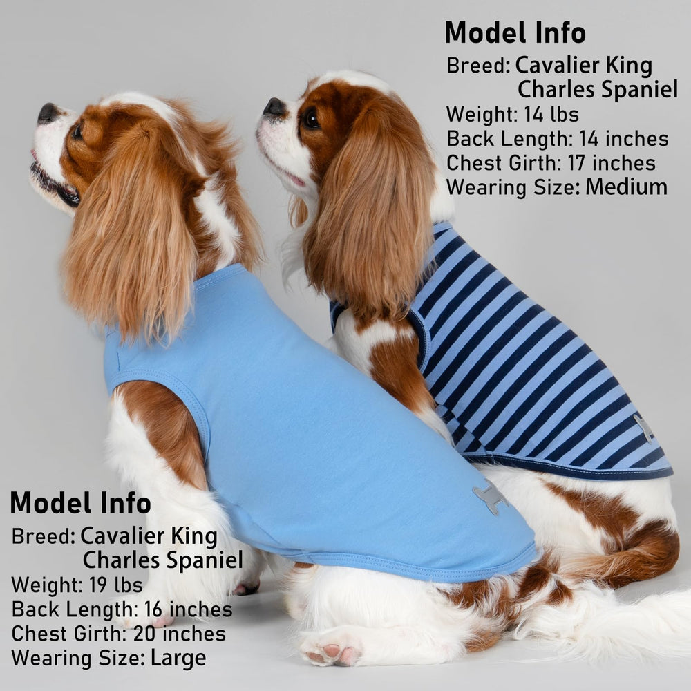 KYEESE talla media adecuada para razas pequeñas como schnauzer