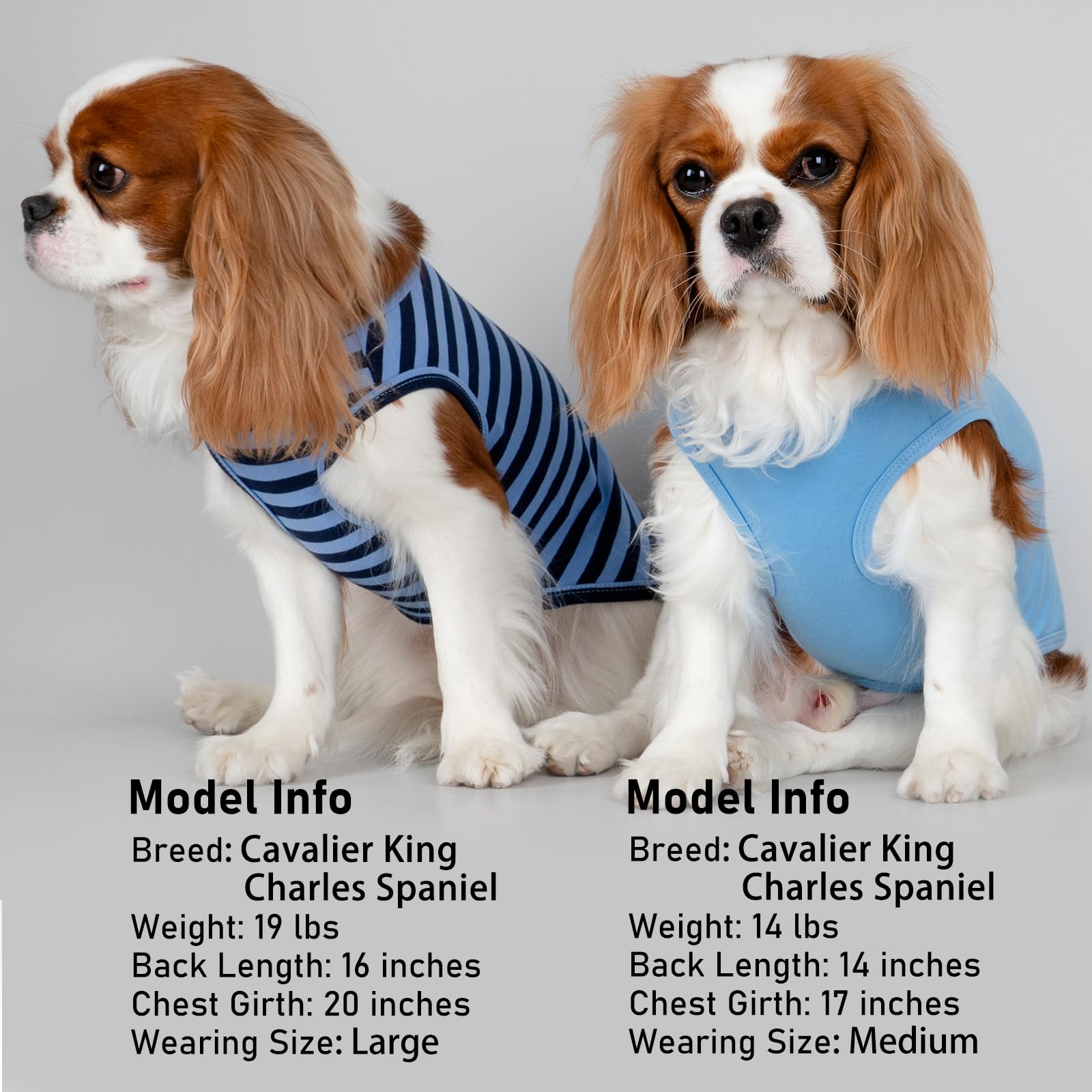 Camiseta KYEESE para perro, ajuste ergonómico, frontal, cómodo para movimientos activos.