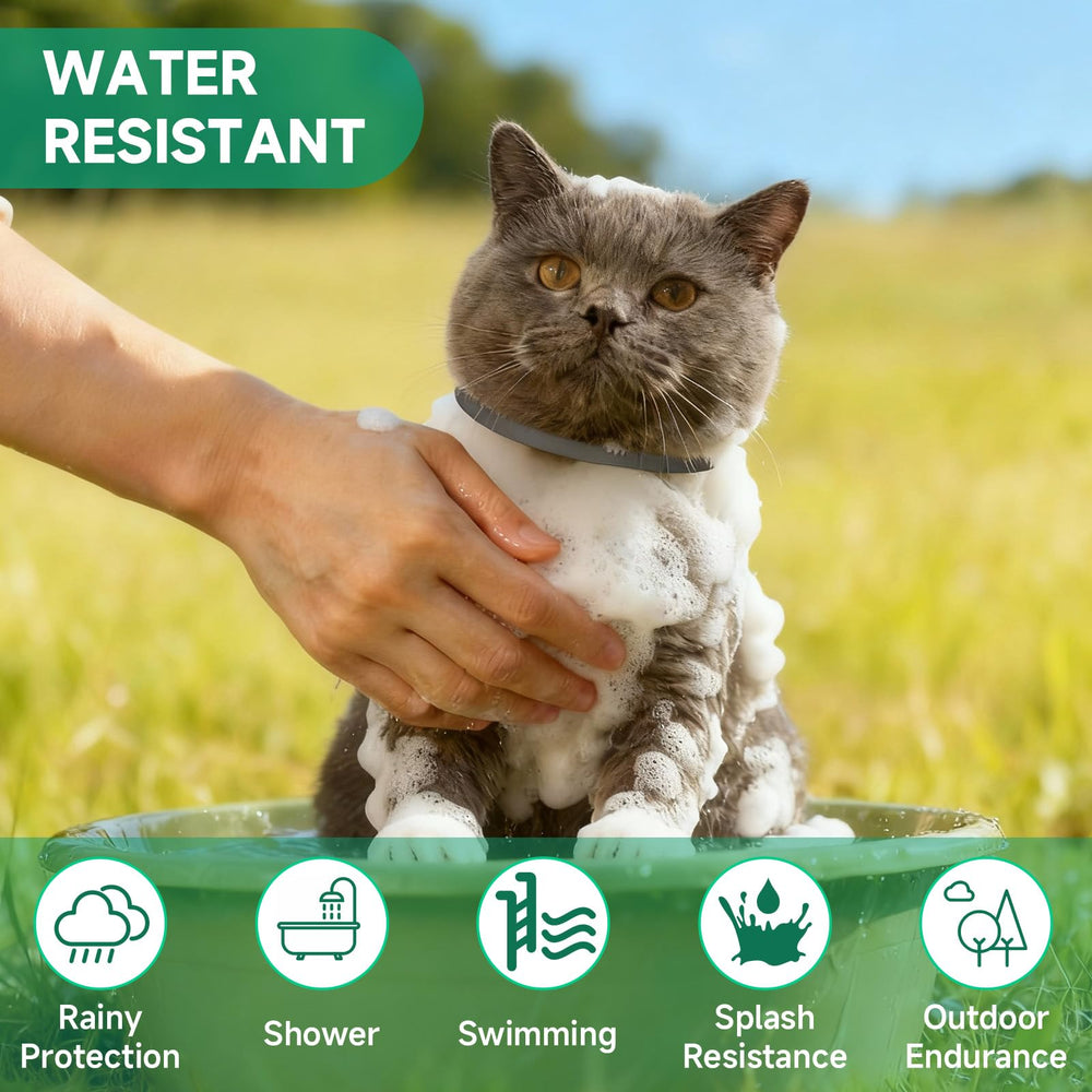 Protección de 32 meses con KYGNE collar antipulgas para gatos
