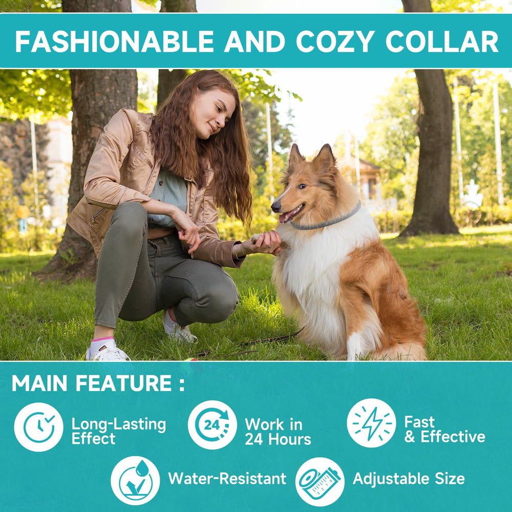 KYGNE collar gris para perros, una talla ajustable para todas las razas.