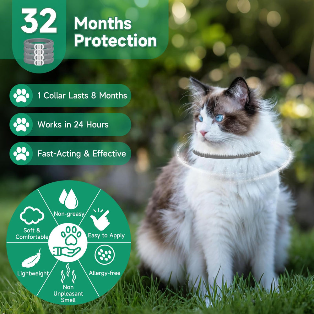 Gato con collar KYGNE antipulgas en exterior, protección durante paseos