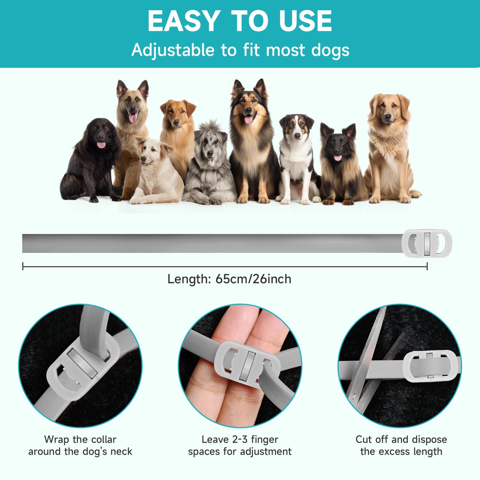 KYGNE pack de 4 collares para perros, protección prolongada para la temporada.