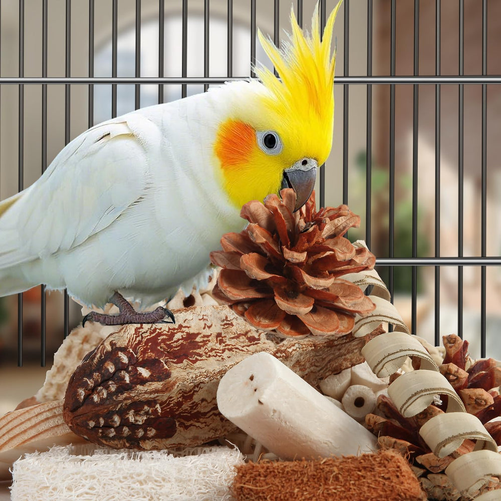 Cascara de coco en Juguetes Kyouki, juego sensorial para aves