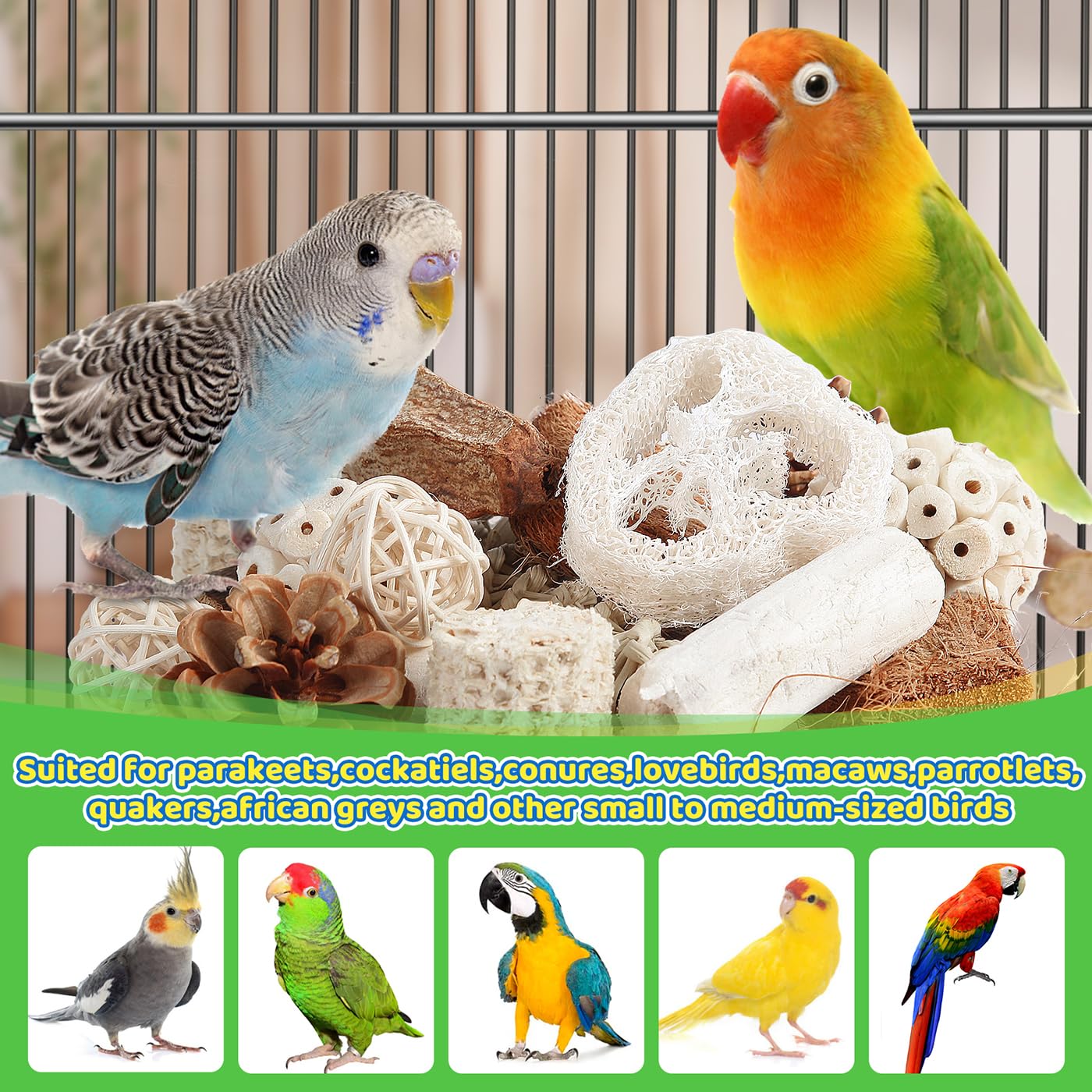Trozos de madera de manzana en Juguetes Kyouki para aves