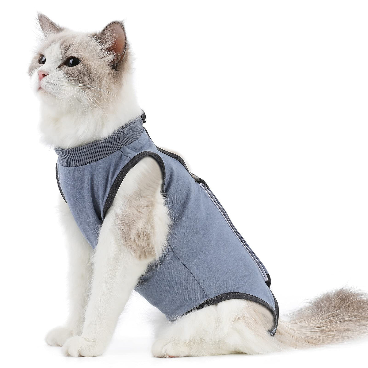 kzrfojy Combinaison rétablissement chat: vue d'ensemble pour le confort