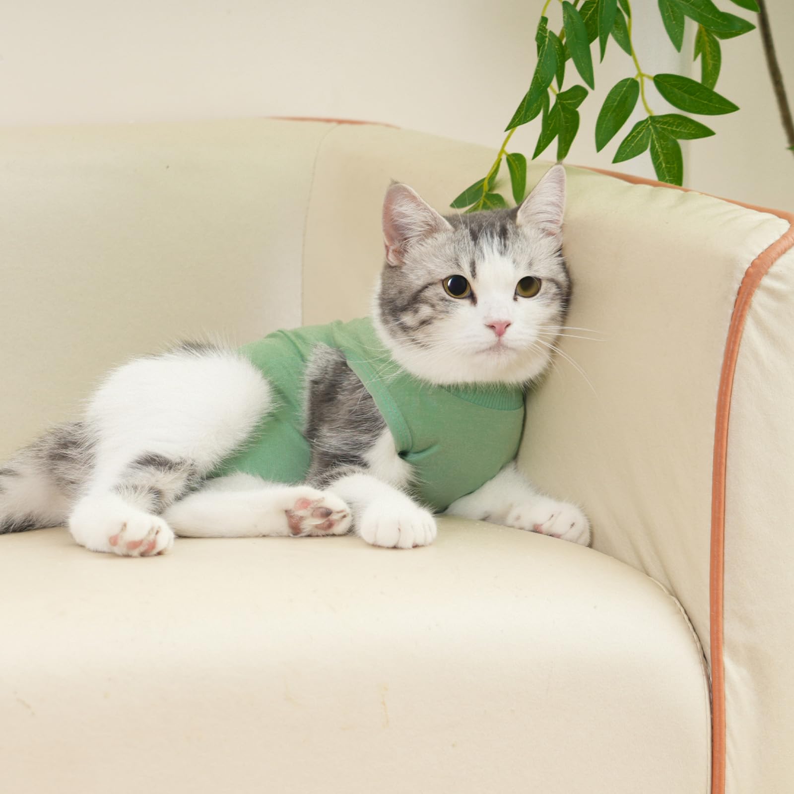 kzrfojy combinaison rétablissement chat verte — contact doux et confort quotidien