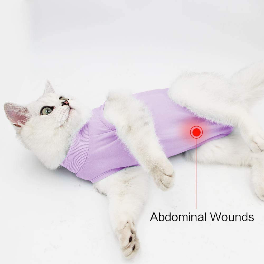 Kzrfojy vetement recuperation chat protection ventrale douce confort au quotidien