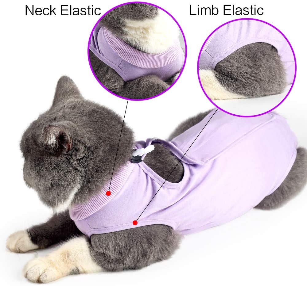 Protection ventrale douce par kzrfojy après chirurgie.