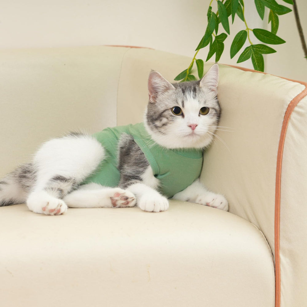 kzrfojy mono postoperatorio para gatos, evita lamidos sin limitar juego
