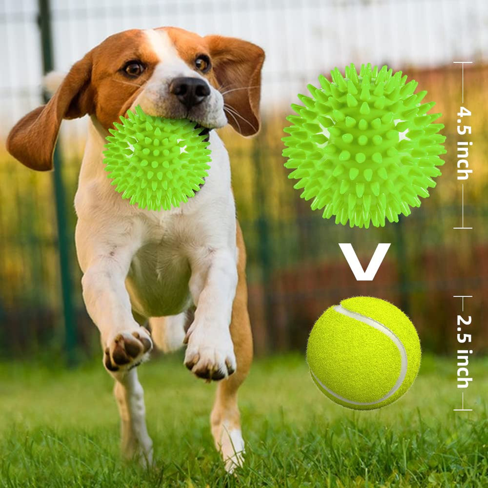 Pelotas Labeol con púas para limpieza dental y estimulación del instinto de caza.