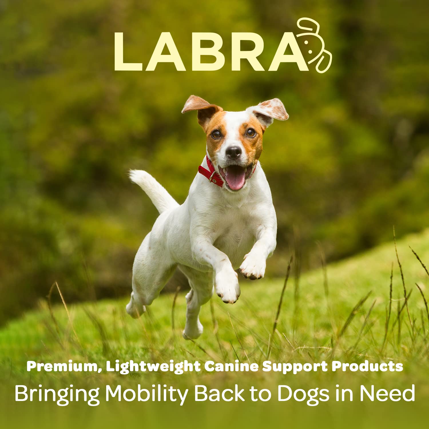 Labra uso diario envolviendo la pierna para soporte estable
