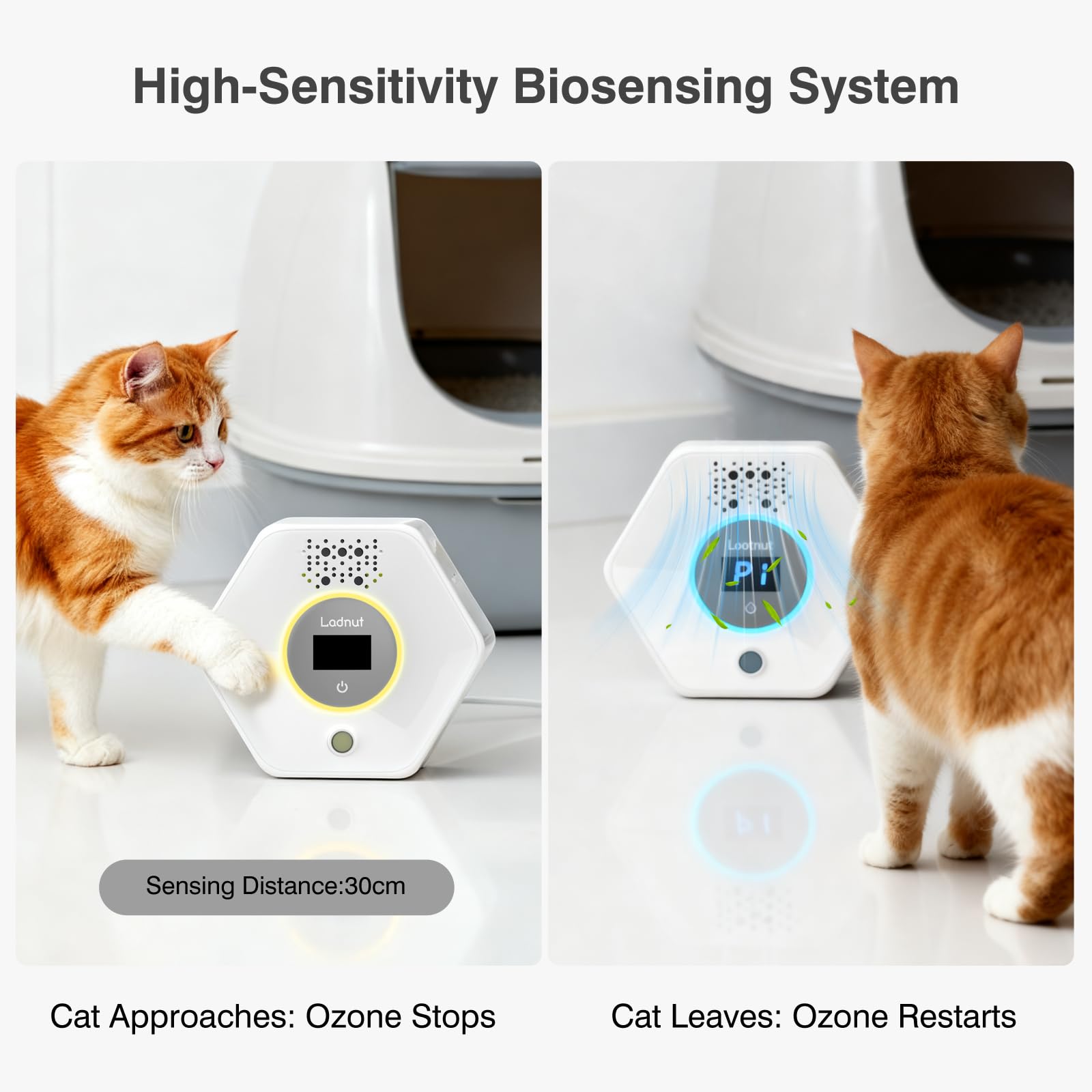 Ladnut-seguridad-para-gatos: tecnología suave cuida la respiración de tu mascota.