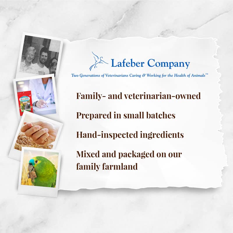 LAFEBER'S Avi-Cakes presenta una presentación atractiva para loros.