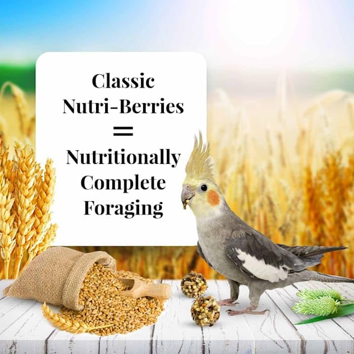 LAFEBER'S Nutri-Berries envase de 4 lb, almacenamiento sencillo y mantiene frescura.