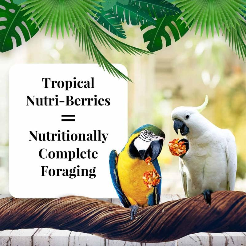 LAFEBER'S Nutri-Berries con mango, papaya y pina, ingredientes reales para aves saludables