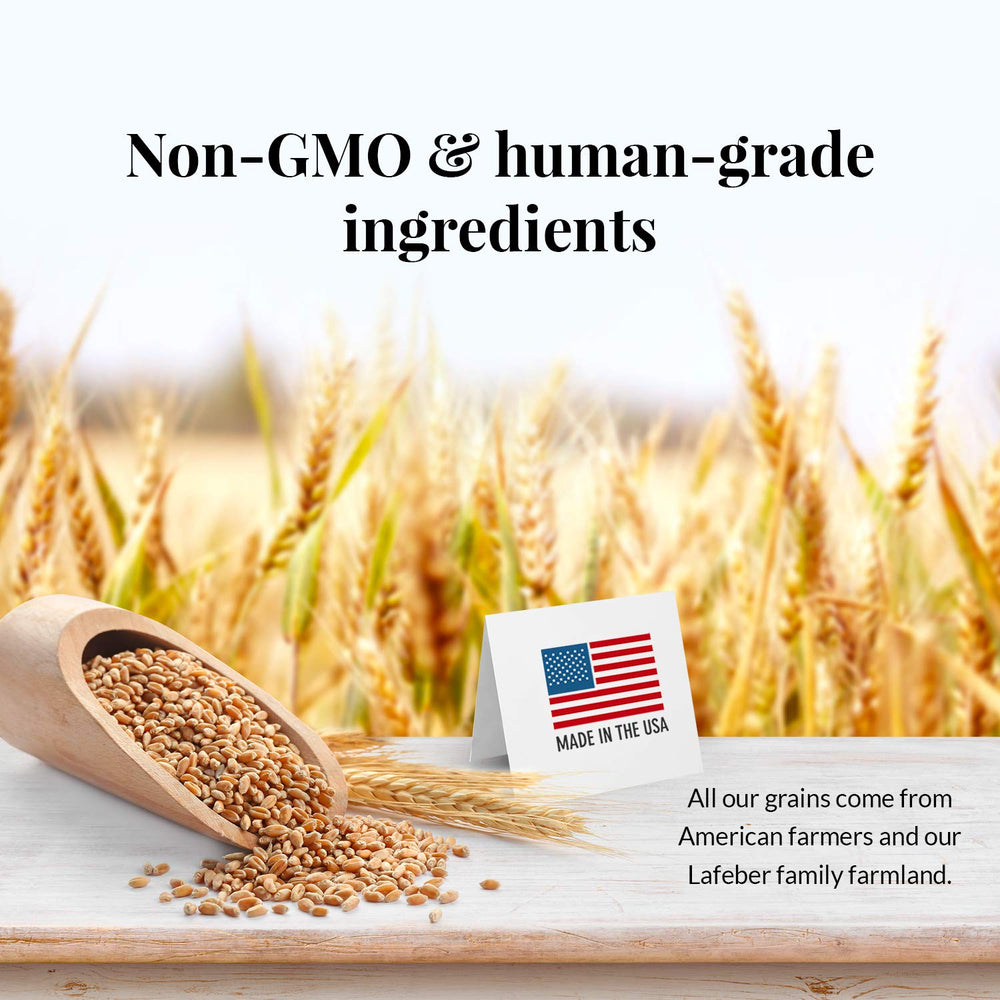 LAFEBER'S ingredientes de grado humano para seguridad alimentaria en aves.