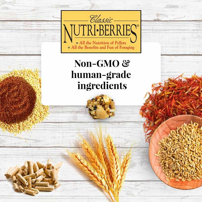 LAFEBER'S Nutri-Berries bolsa abierta, porciones rápidas para alimentar a diario.