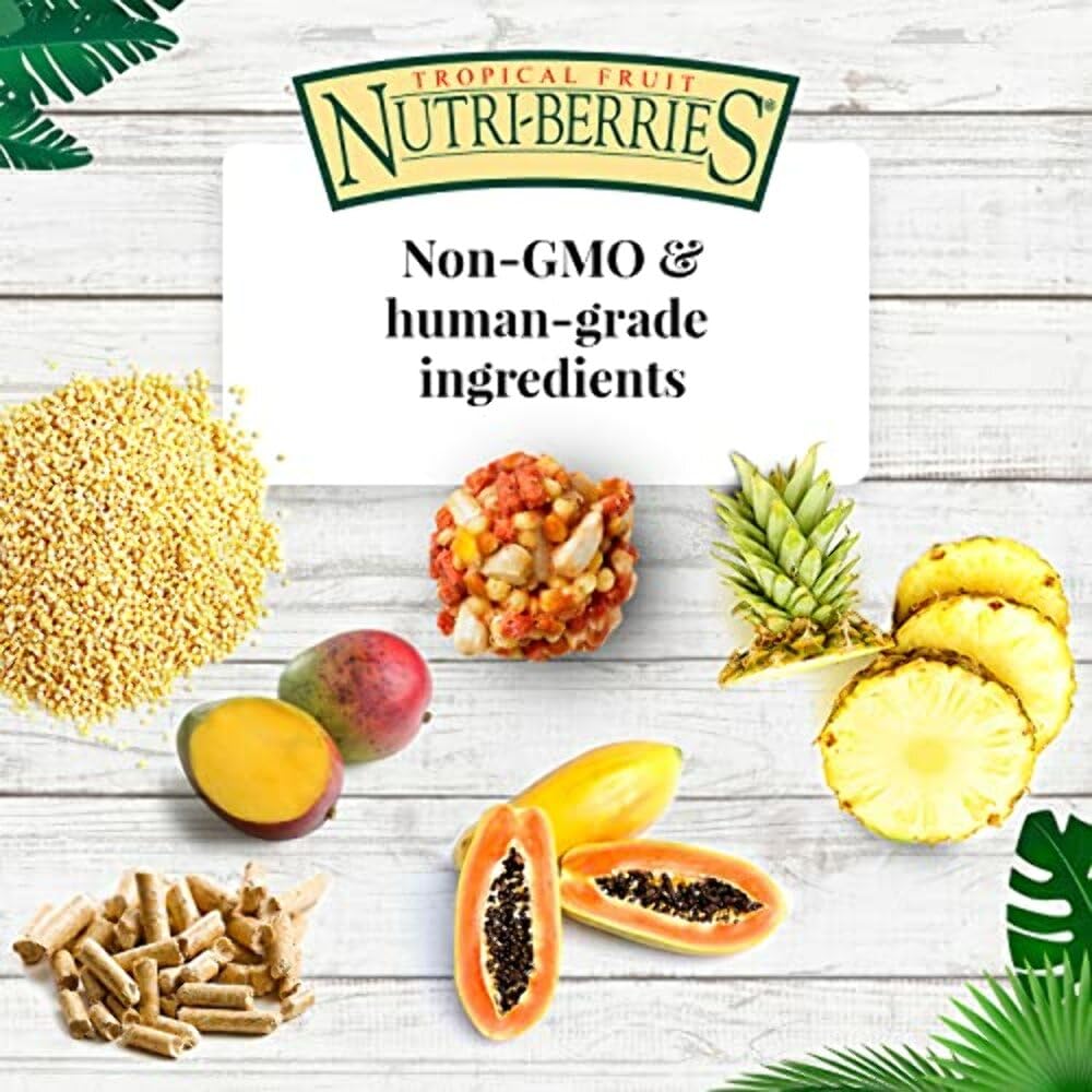 LAFEBER'S Nutri-Berries aporta antioxidantes y omega 3-6 para plumaje