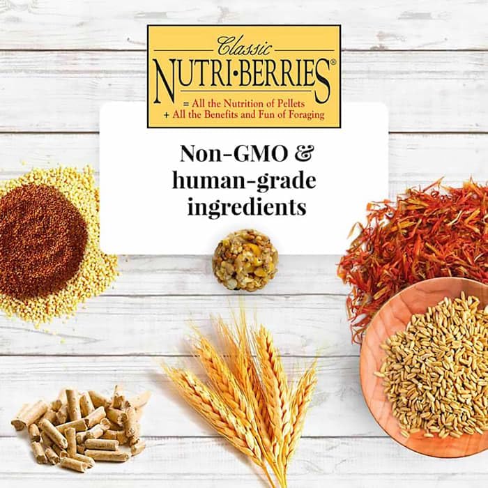 Lafeber's Nutri-Berries para guacamayo uso diario en jaula