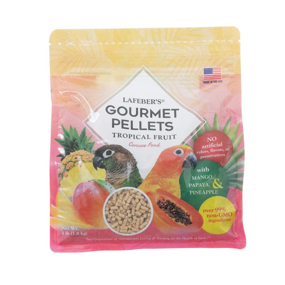 LAFEBER'S Pellets Fruta Tropical para Conures, en plato, apoyo al plumaje saludable.