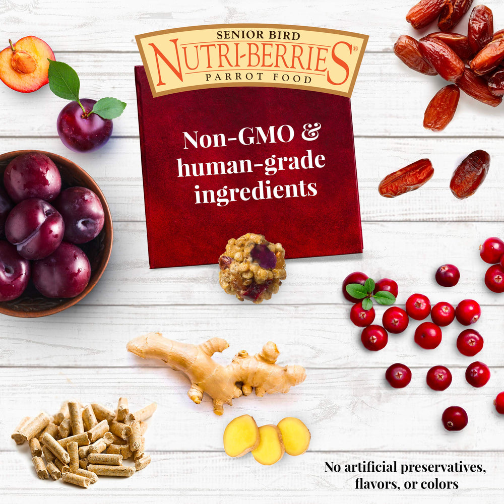 LAFEBER'S Senior Bird Nutri-Berries, frutas selectas aportan fibra y vitaminas.