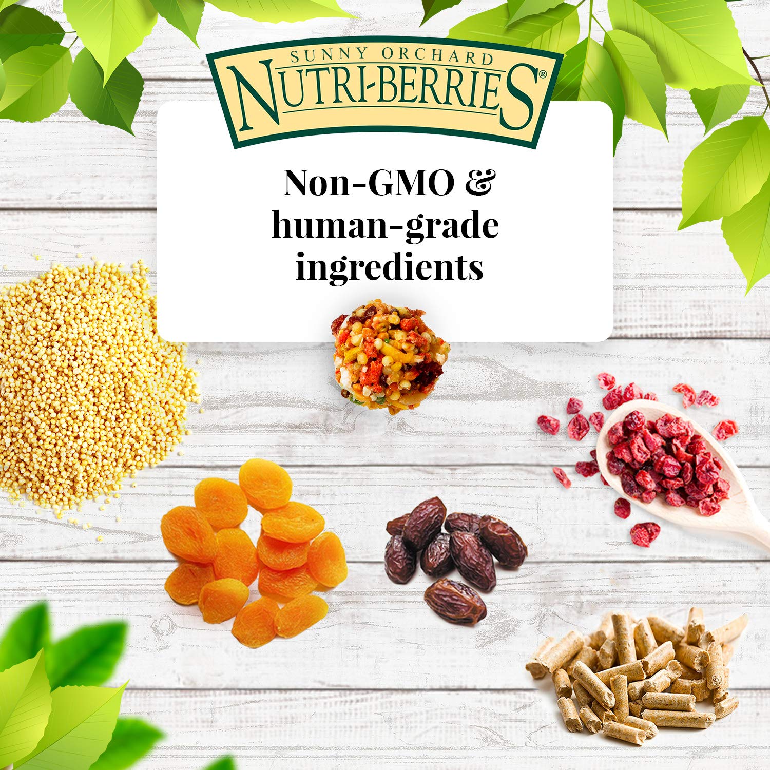 Omega-3 y Omega-6 en Nutri-Berries para plumas sanas y brillo