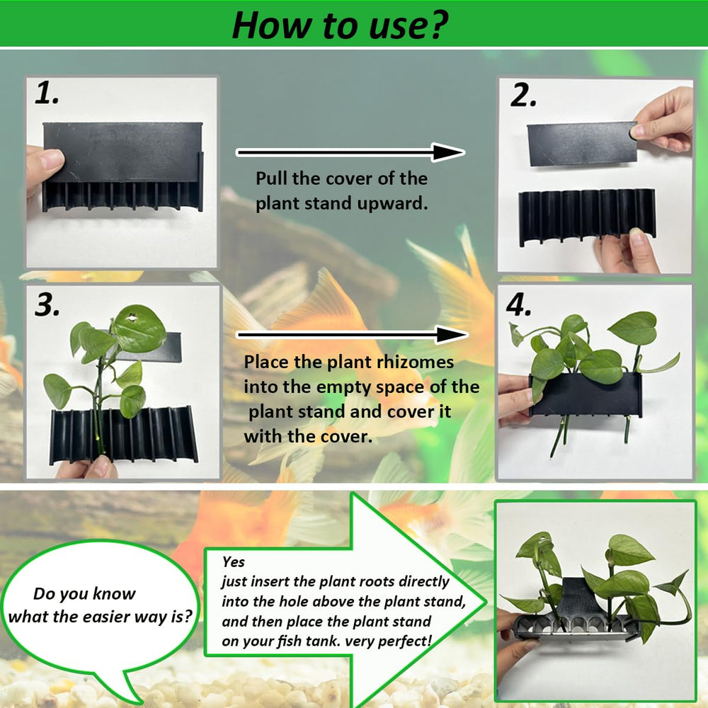 Laikadi: decoración flotante para acuario con planta, añade encanto sin ocupar sustrato.