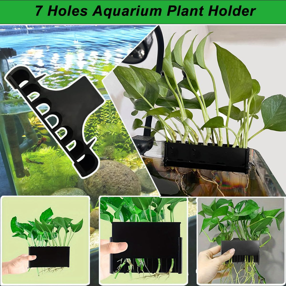 Laikadi: planta acuario superior copa-colgante, favorece riego y crecimiento de plantas en la superficie.