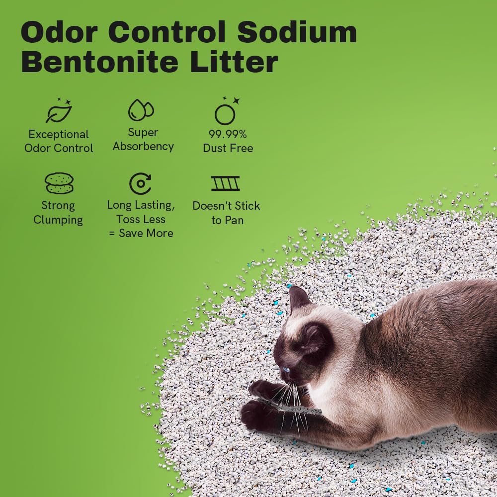 LALAHOME Arena para gatos sin polvo para un aire más limpio.
