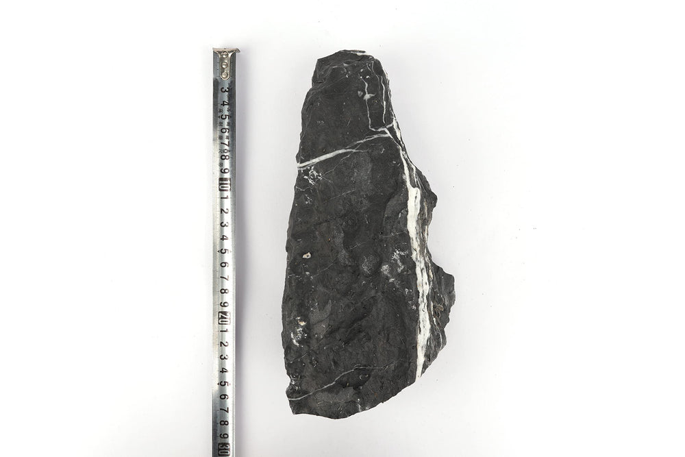 Piedra LANDEN Seiryu oscura apta para paludarios y terrarios naturales.