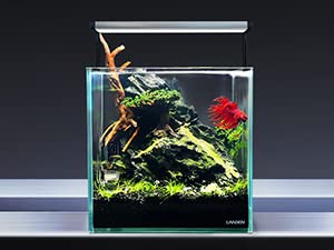 Piedra LANDEN Seiryu oscura facilita un diseño de acuario estable y atractivo.