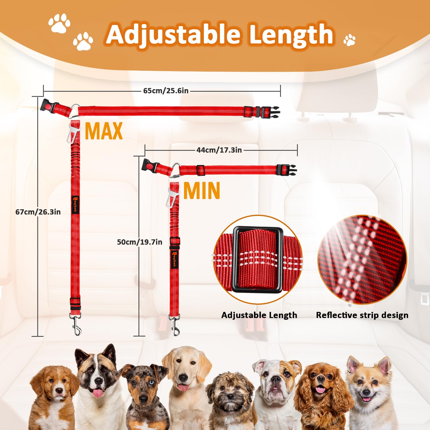 laqibak nylon resistente garantiza durabilidad para uso diario con mascotas